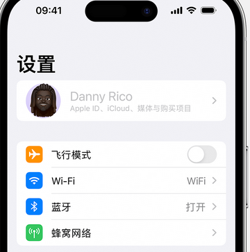 下谷坪土家族乡appleID维修服务iPhone设置中Apple ID显示为灰色无法使用 