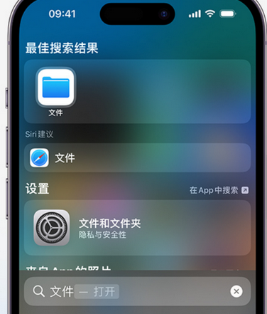 下谷坪土家族乡apple维修中心分享iPhone文件应用中存储和找到下载文件 