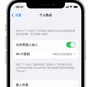 下谷坪土家族乡apple服务站点分享iPhone上个人热点丢失了怎么办 