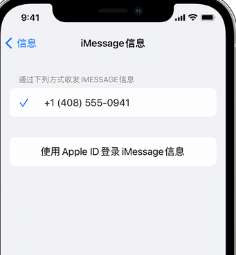 下谷坪土家族乡apple维修iPhone上无法正常发送iMessage信息