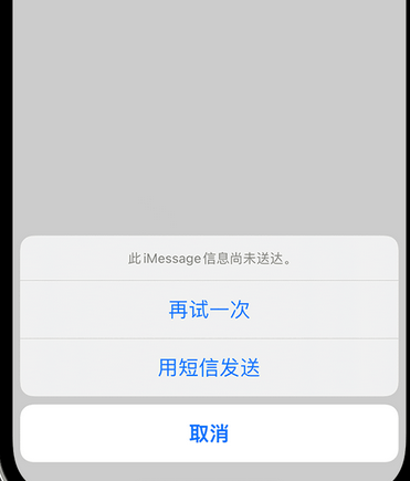 下谷坪土家族乡apple维修iPhone上无法正常发送iMessage信息