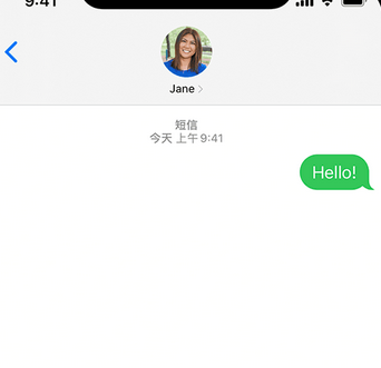 下谷坪土家族乡apple维修iPhone上无法正常发送iMessage信息