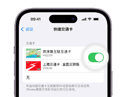 下谷坪土家族乡apple维修点分享iPhone上更换Apple Pay快捷交通卡手绘卡面 