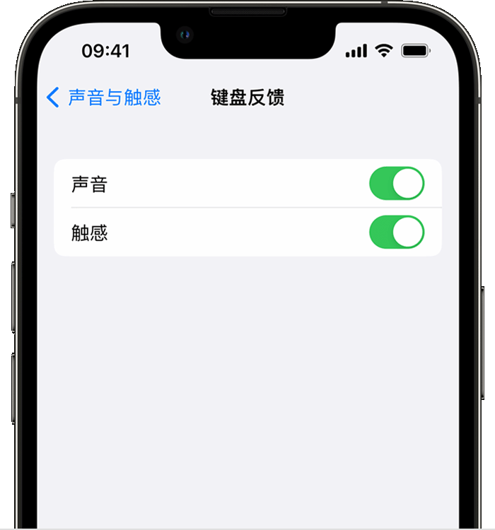 下谷坪土家族乡苹果14维修店分享如何在 iPhone 14 机型中使用触感键盘 