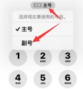 下谷坪土家族乡苹果14维修店分享iPhone 14 Pro Max使用副卡打电话的方法 