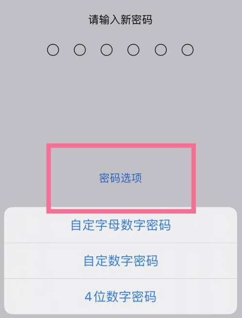 下谷坪土家族乡苹果14维修分享iPhone 14plus设置密码的方法 