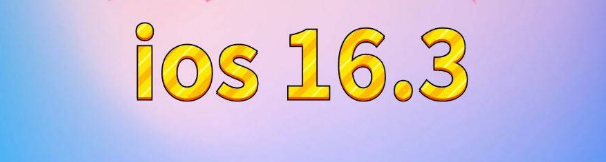 下谷坪土家族乡苹果服务网点分享苹果iOS16.3升级反馈汇总 