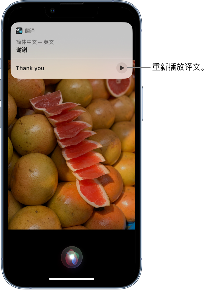 下谷坪土家族乡苹果14维修分享 iPhone 14 机型中使用 Siri：了解 Siri 能帮你做什么 