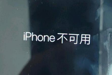 下谷坪土家族乡苹果服务网点分享锁屏界面显示“iPhone 不可用”如何解决 