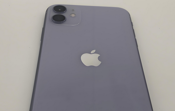 下谷坪土家族乡苹果11系统维修分享iPhone11手机系统崩溃无法开机如何解决